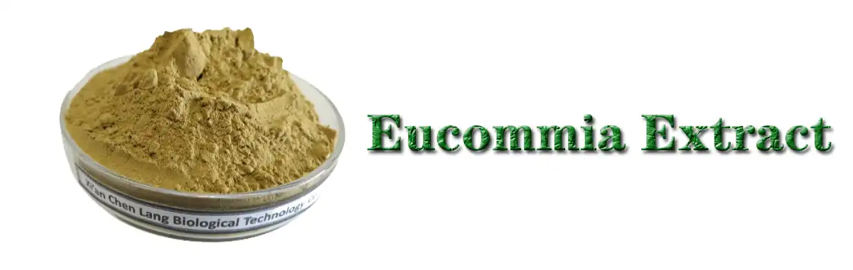 Eucommia Extract .jpg
